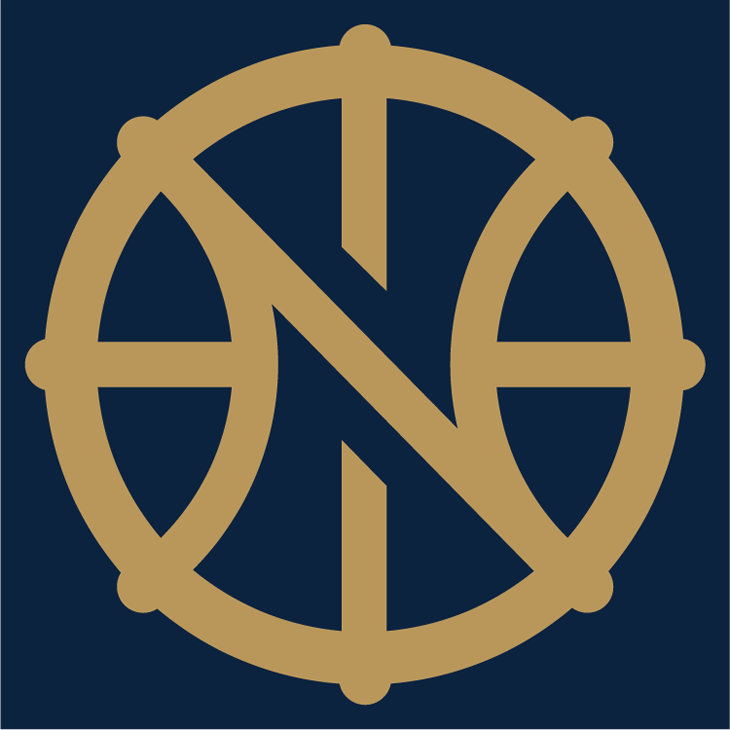New Orleans Pelicans 2013-Pres Alternate Logo fabric transfer version 2